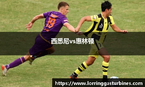 西悉尼vs惠林顿