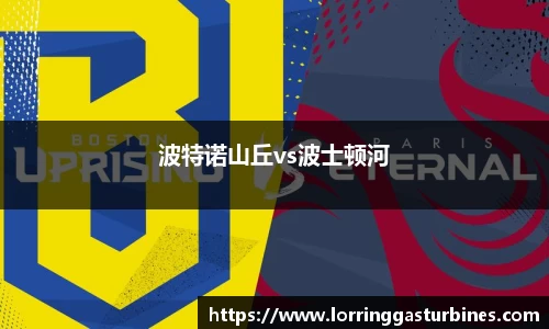 波特诺山丘vs波士顿河
