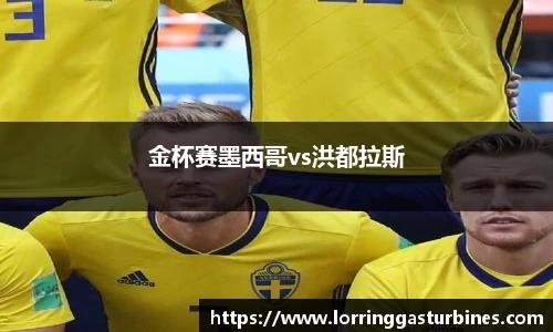 金杯赛墨西哥vs洪都拉斯
